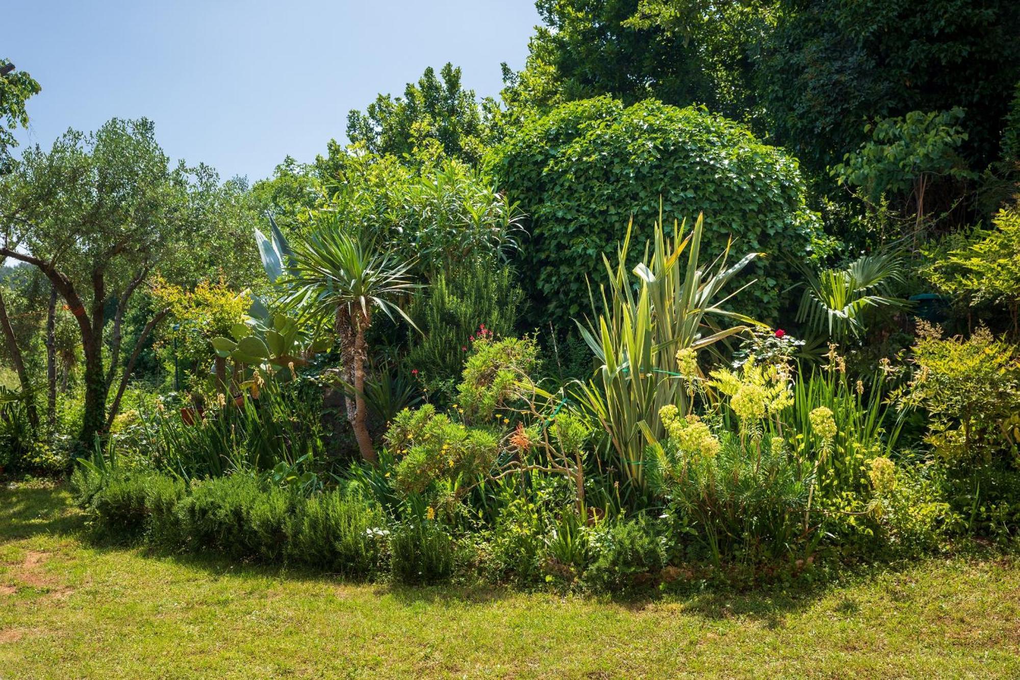 Villa Mareonda - Apartments Sussurro Rovinj Exteriör bild